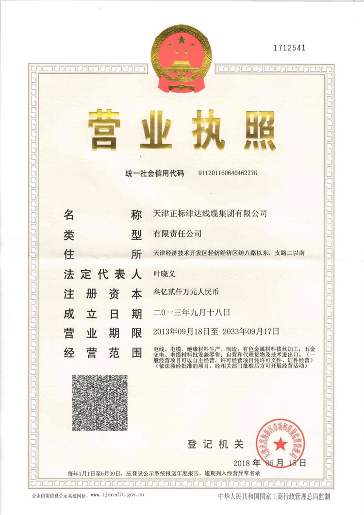 天津正標(biāo)津達(dá)線纜集團有限公司